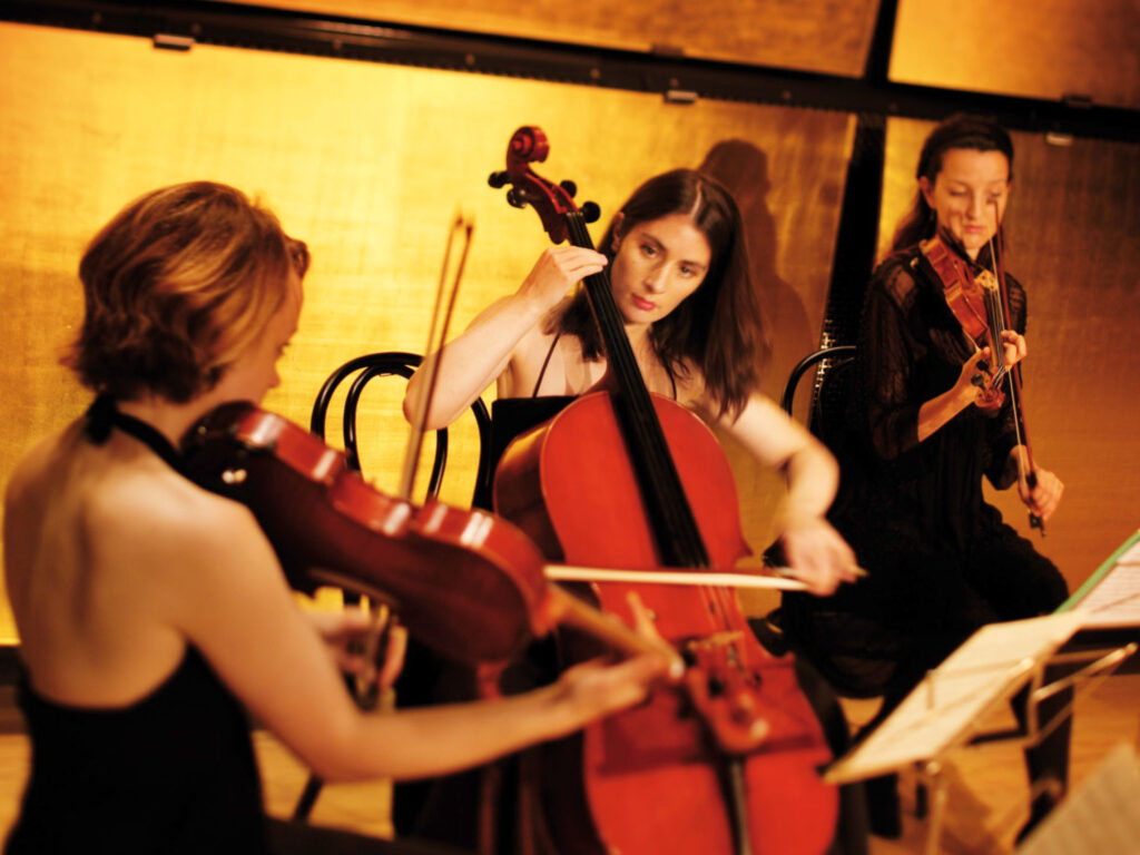 Sonare Reise Golden-Eagle Dezember 2026 Wien Vienna Supreme Orchestra